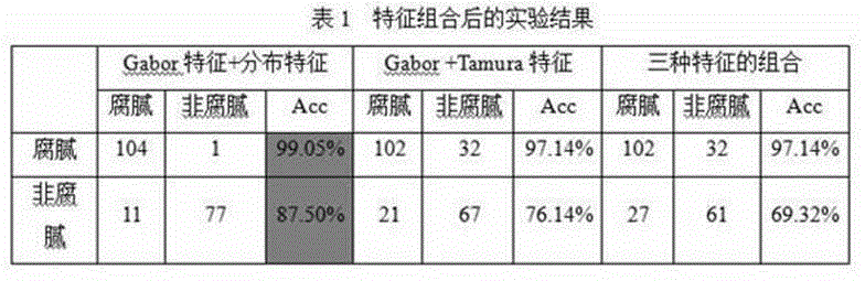 Tongue coating greasyness identification method based on texture and distribution characteristics