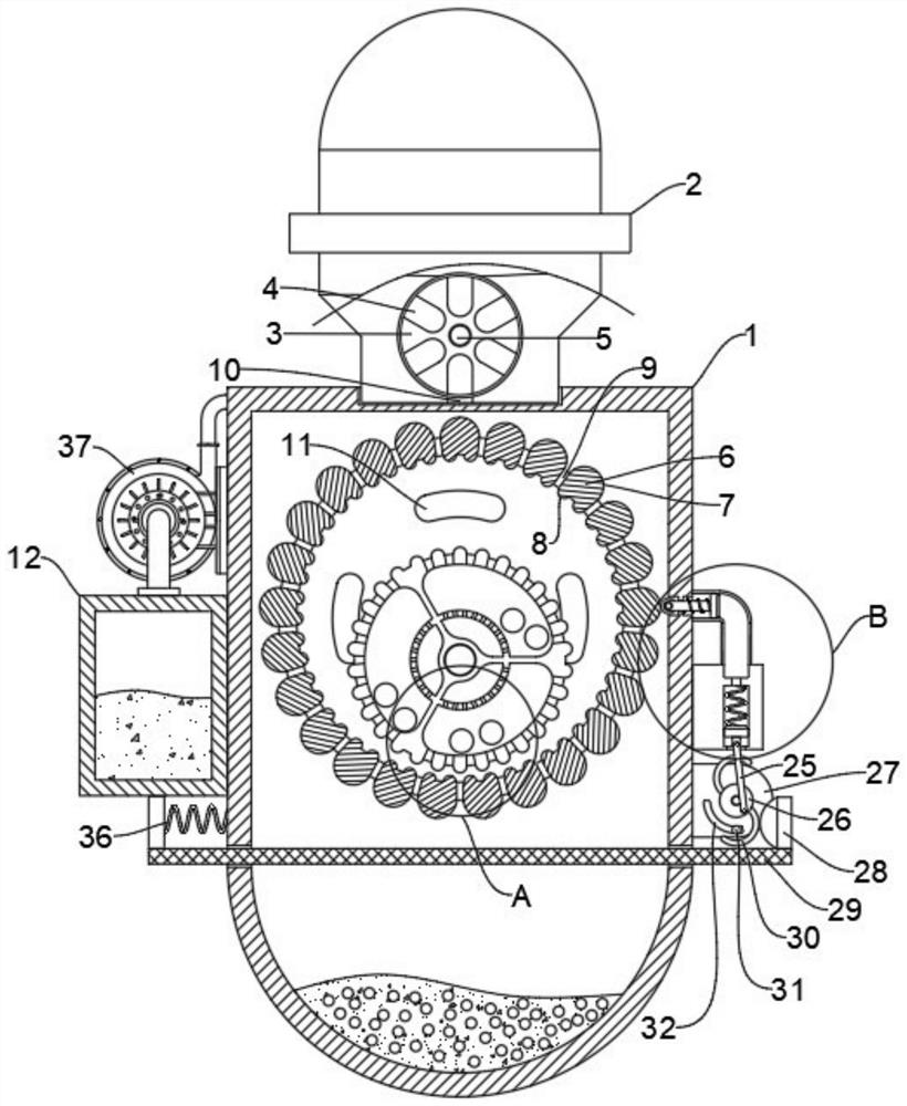 A kind of soybean peeling, screening and processing device