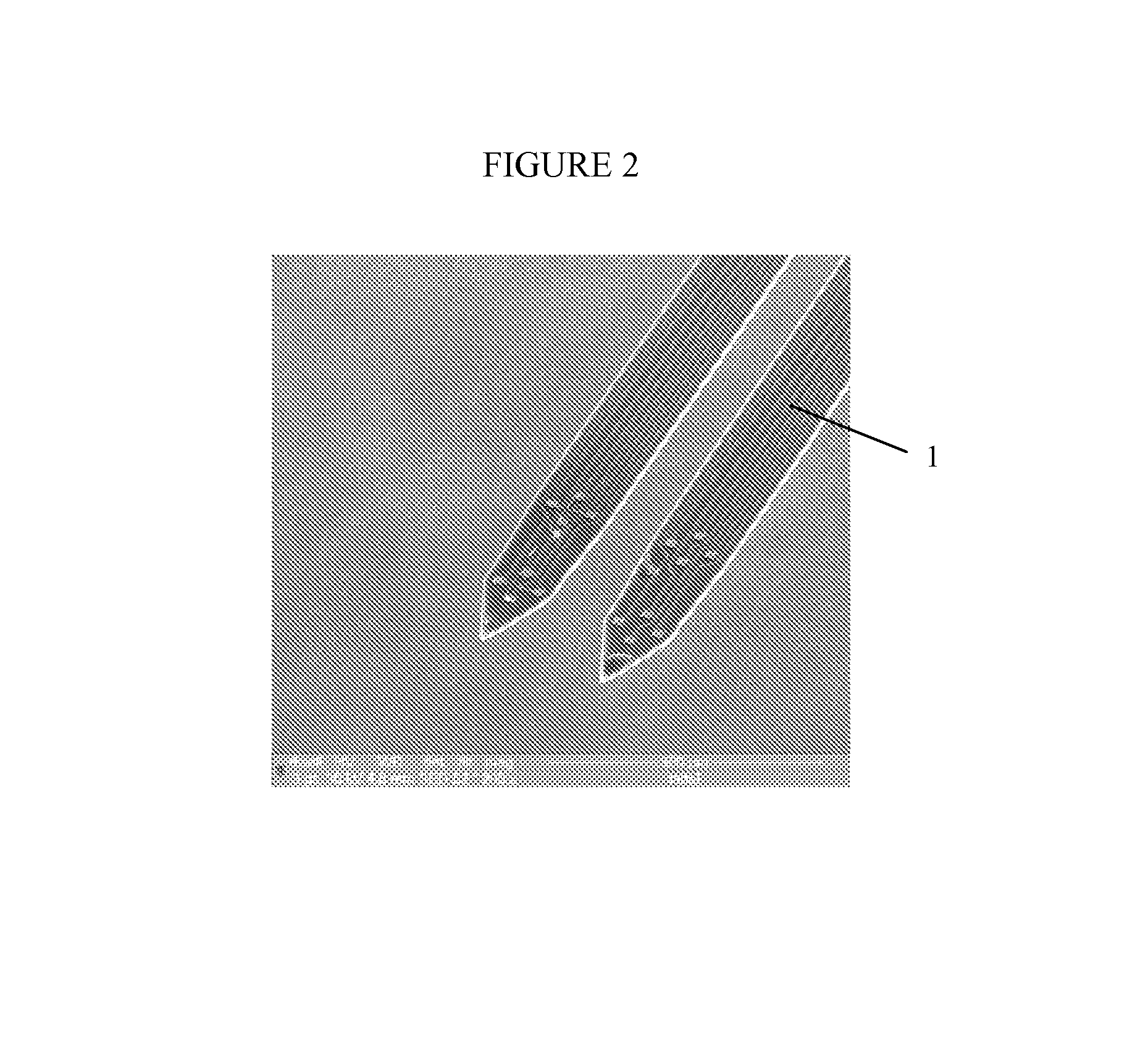 Microfabricated neural probes and methods of making same