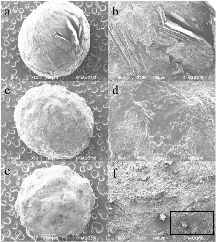 Coated slow-release fertilizer based on humic acid material-medium and trace element chelate, and preparation method and application thereof