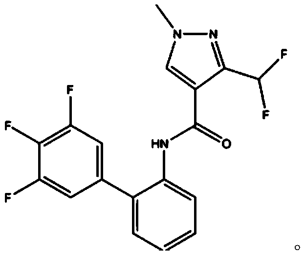 Bactericidal mixture containing succinate dehydrogenase inhibitor and application thereof