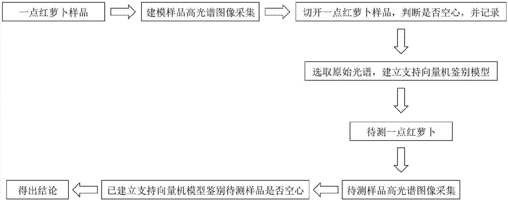 Method for identifying hollowYidianhongradishes based on hyperspectral imaging technology