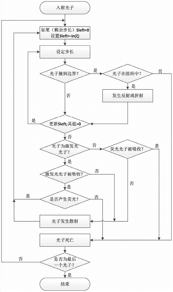 Fluorescent Monte-Carlo simulation method based on cluster-type GPU (Graphic Processing Unit) acceleration