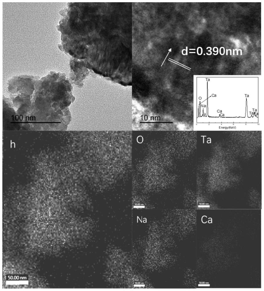 Tantalum surface calcium-doped sodium tantalate bioactive layer and preparation method thereof