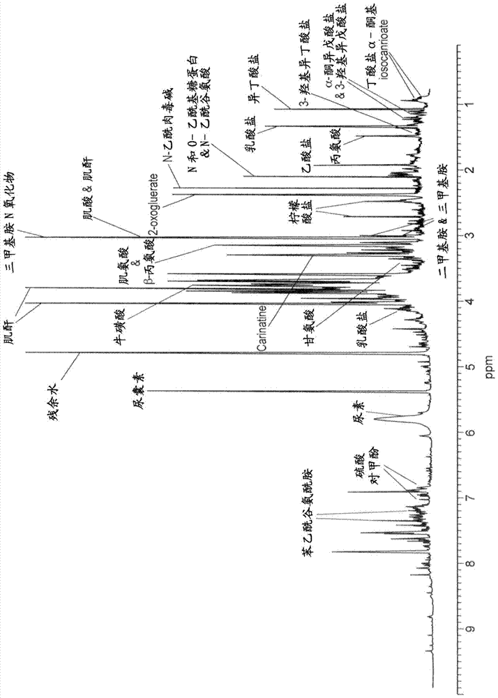 1‑o‑alkyl‑2‑acylglycerophosphorylcholine (pc‑o) 40:1 as a biomarker of healthy aging