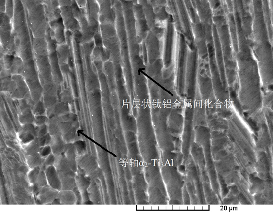 Titanium flux-cored wire for additive manufacturing of titanium-aluminum intermetallic compound and preparation method of titanium flux-cored wire