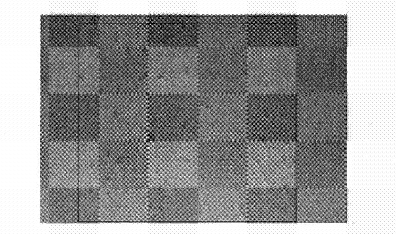 Method for optimizing Parsytec on-line surface defect detection system