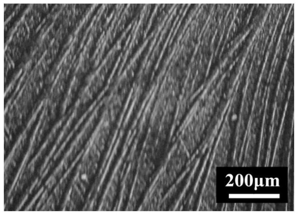 Method for preparing dendritic rubrene crystal film by utilizing polylactic acid