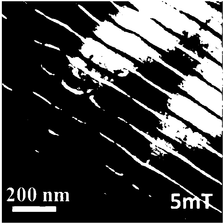 Regulatory approaches to skyrmions in the hexagonal mnniga