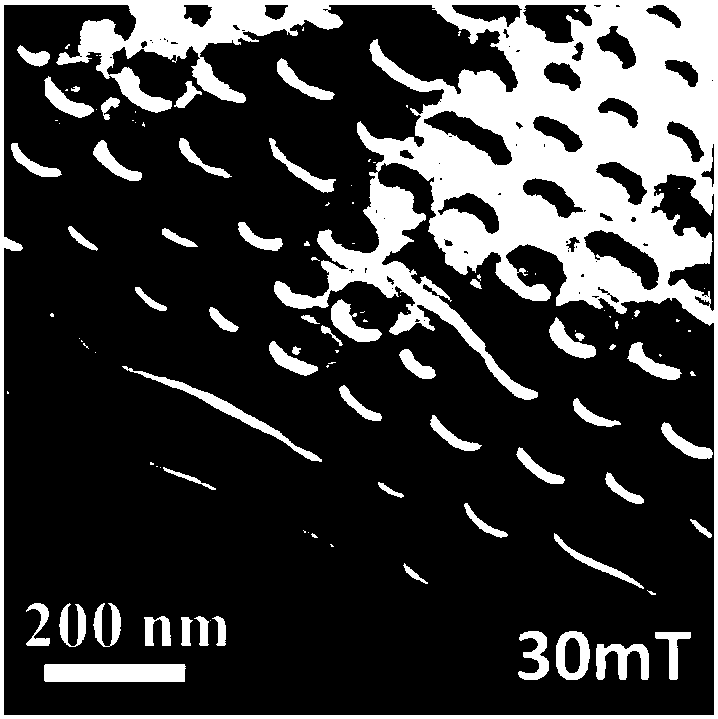 Regulatory approaches to skyrmions in the hexagonal mnniga