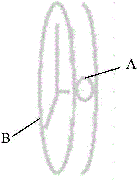 Application program starting method and intelligent watch