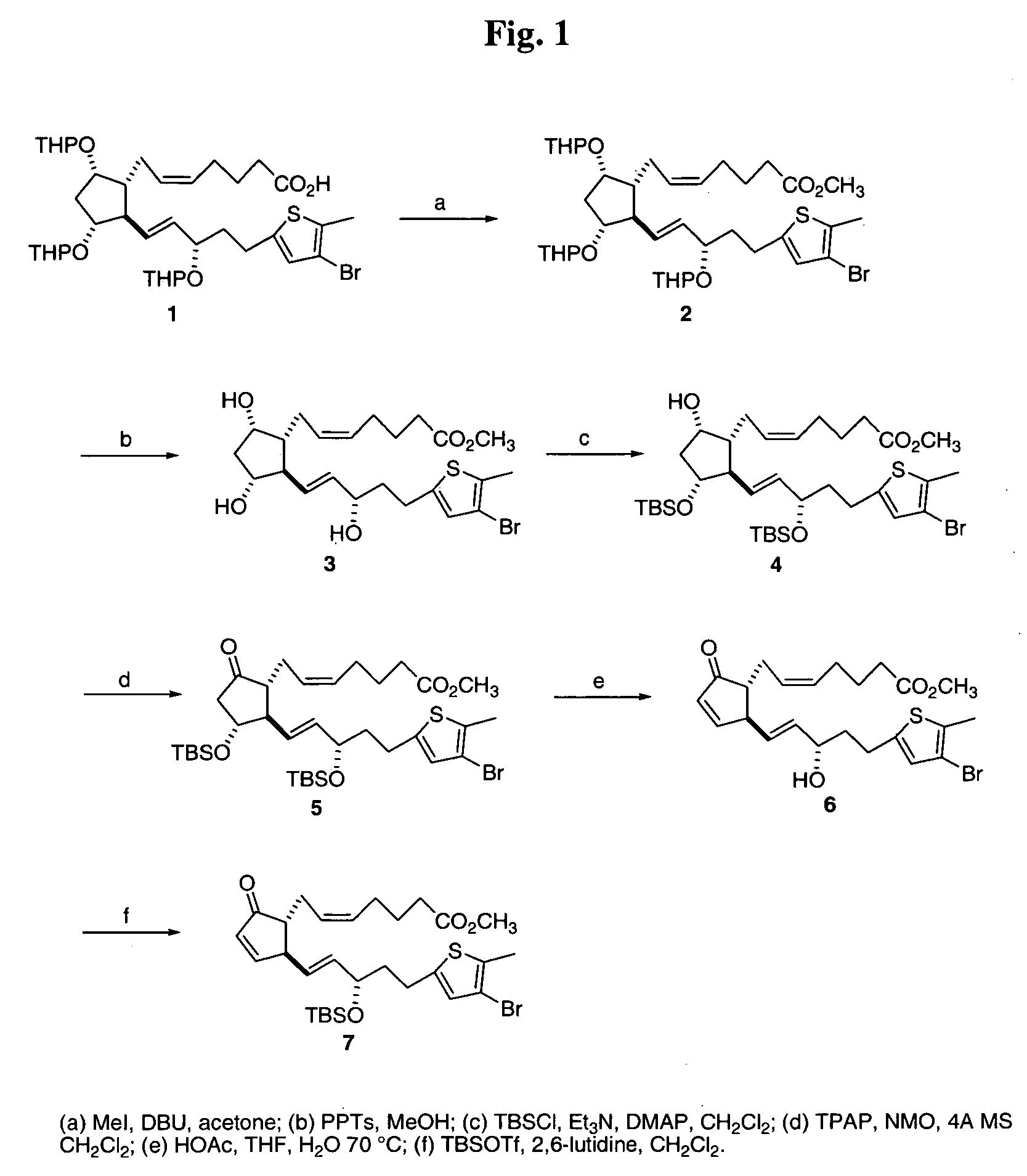 Cyclopentane heptan(ENE)OIC acid, 2-heteroarylalkenyl derivatives as therapeutic agents