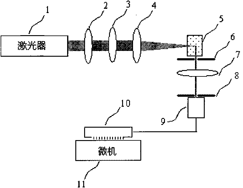 Device and method for measuring scattering particles by using dynamic polarized light