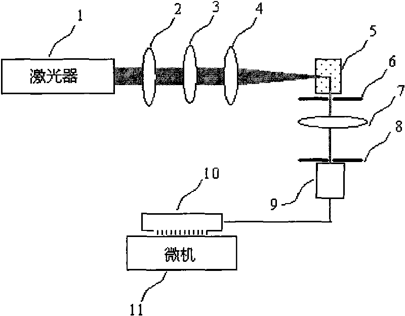 Device and method for measuring scattering particles by using dynamic polarized light