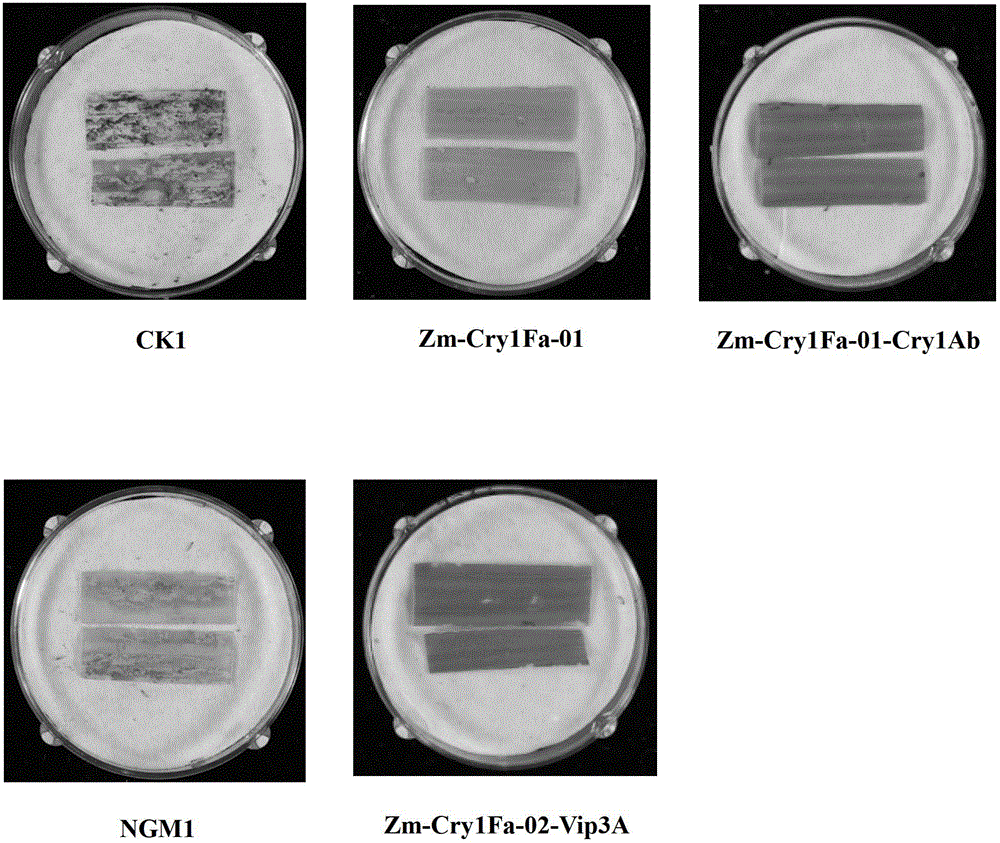 Method for controlling pests