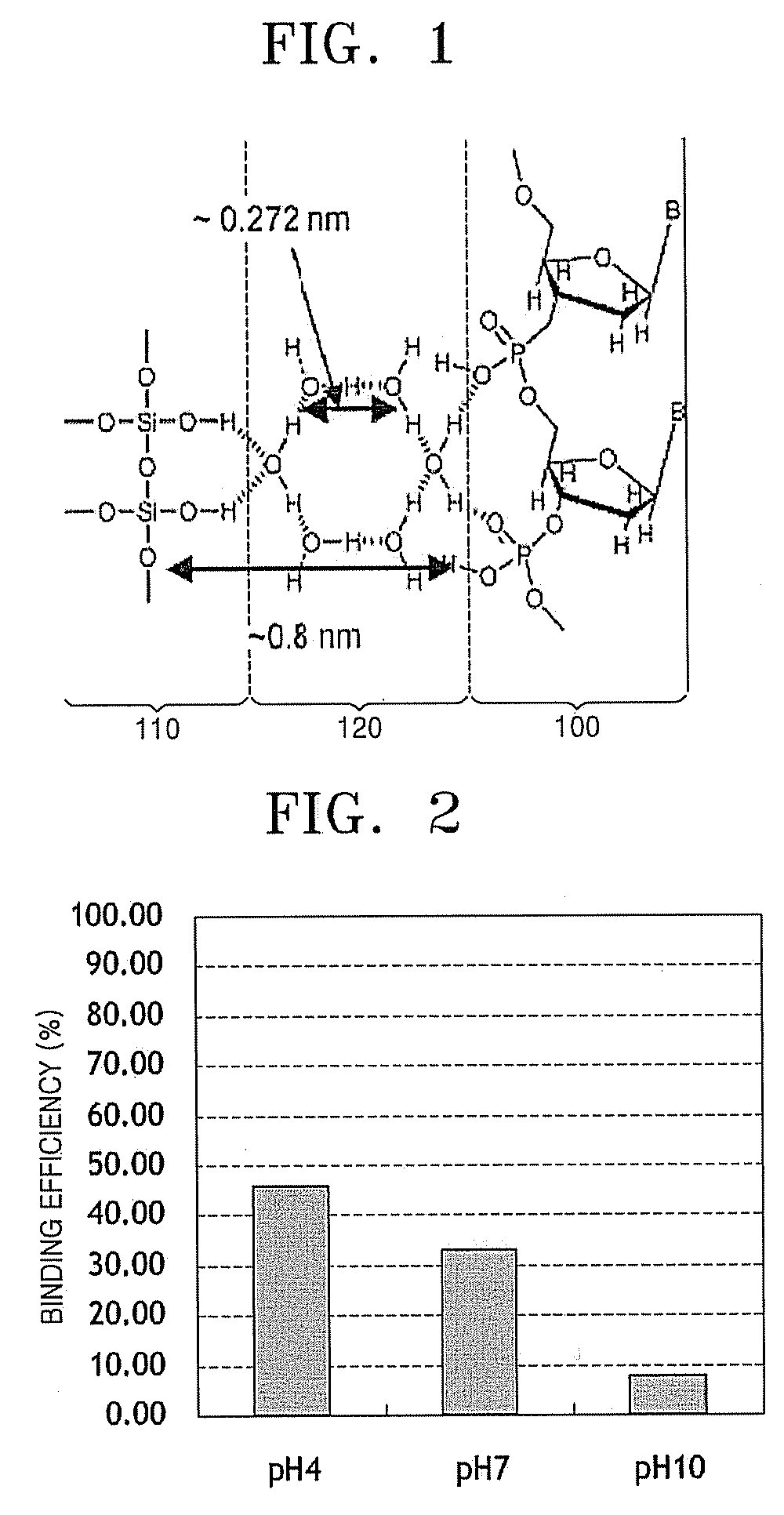 Method and apparatus for purifying nucleic acid on hydrophilic surface of solid support using hydrogen bonding