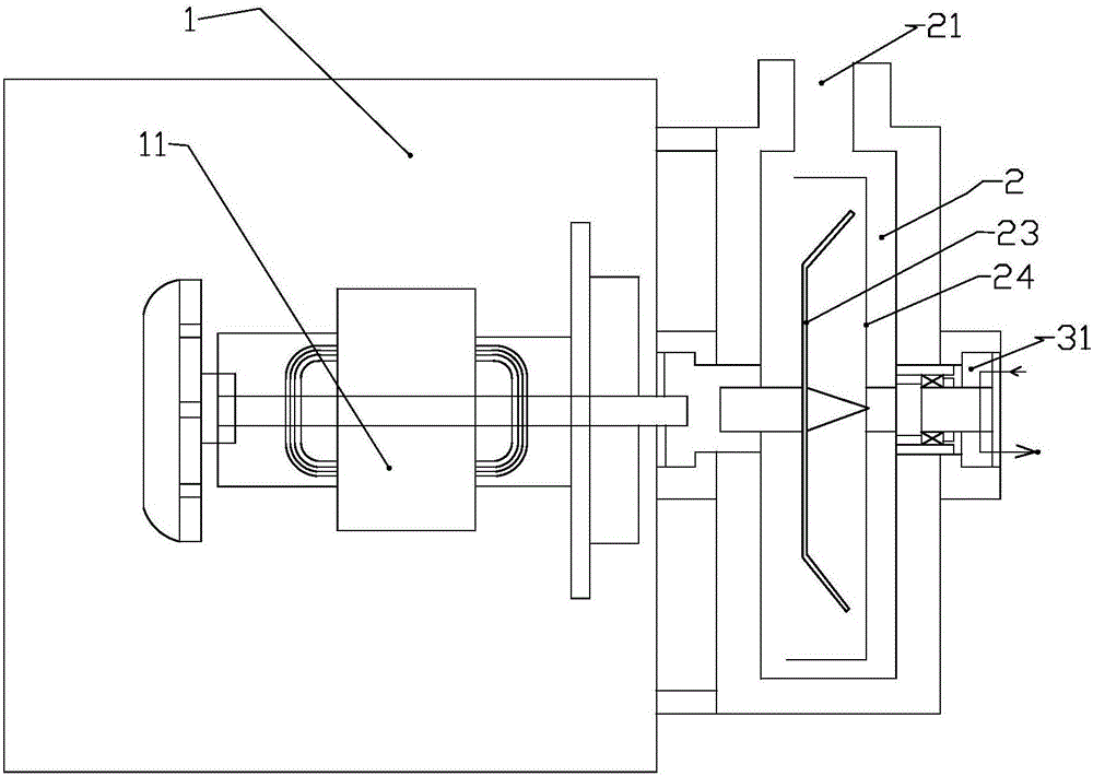 Multidimensional colla corii asini and walnut drink and production process thereof