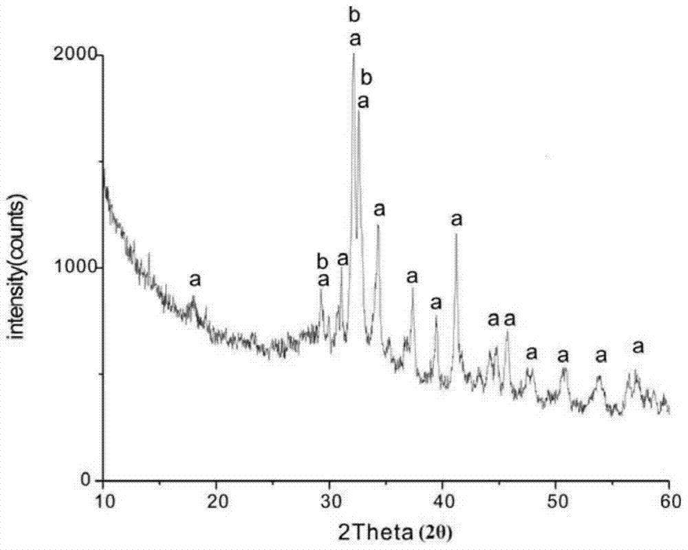 Brushite-calcium silicate/chitosan composite bone cement with rapid and controllable biodegrability