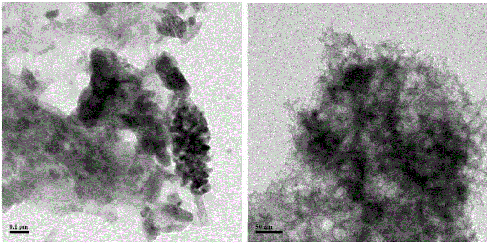 Nitrogen-doped porous composite negative electrode material and preparation method therefor