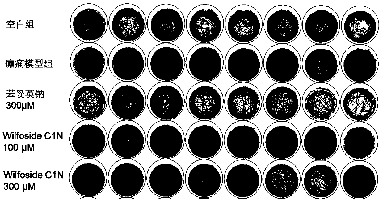 Natural antiepileptic active compounds and their use in pharmaceutical preparations