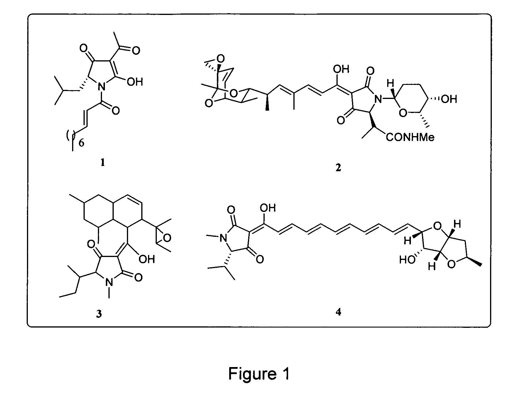 Analogs of tetramic acid