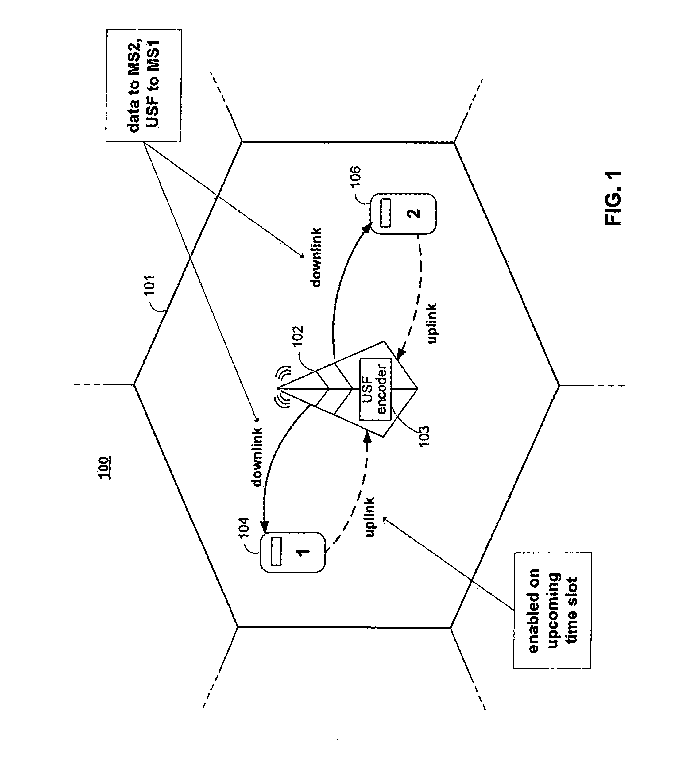 Usf coding