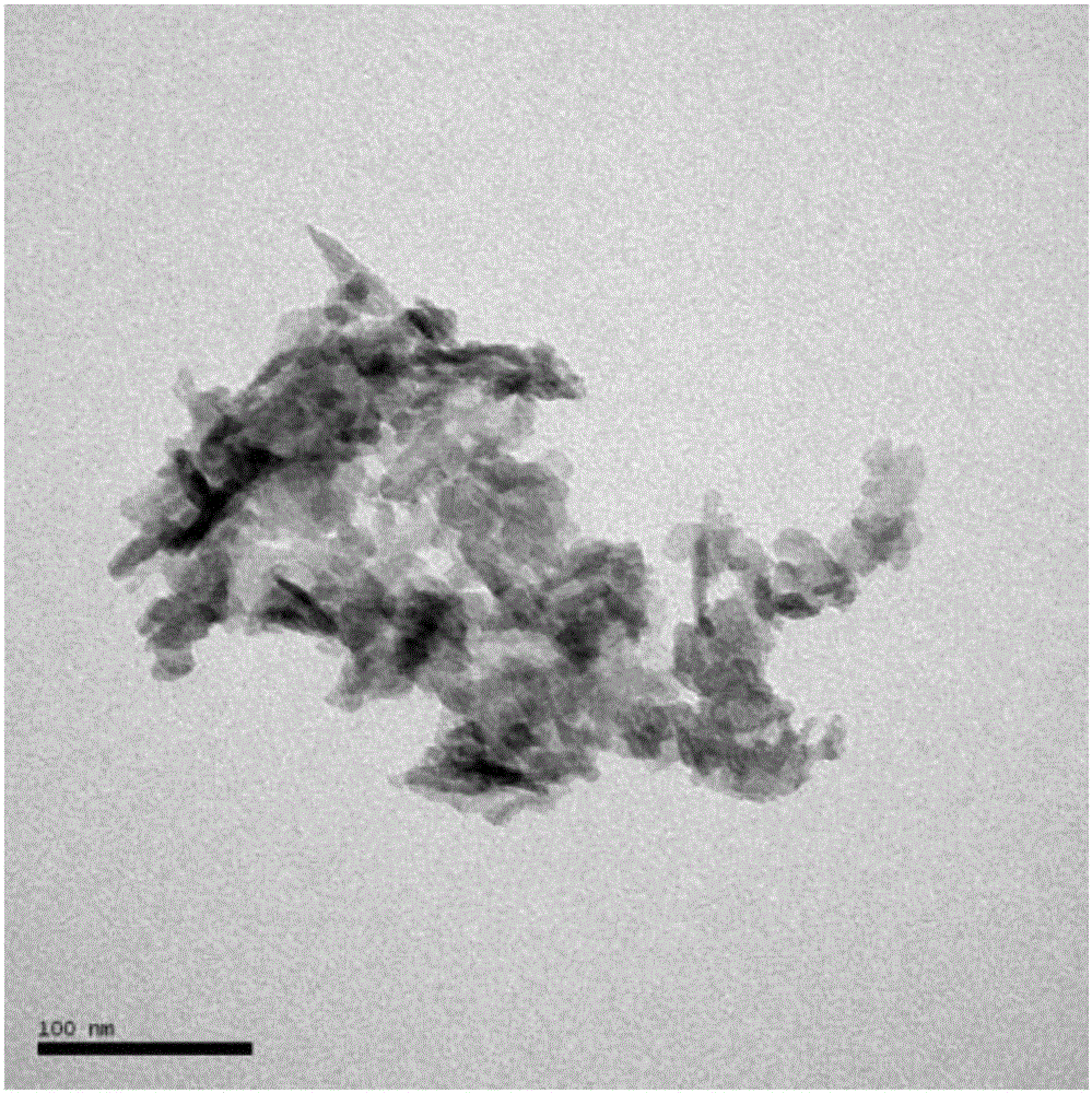 Composite material containing natural nano-hydroxyapatite and preparation method of composite material