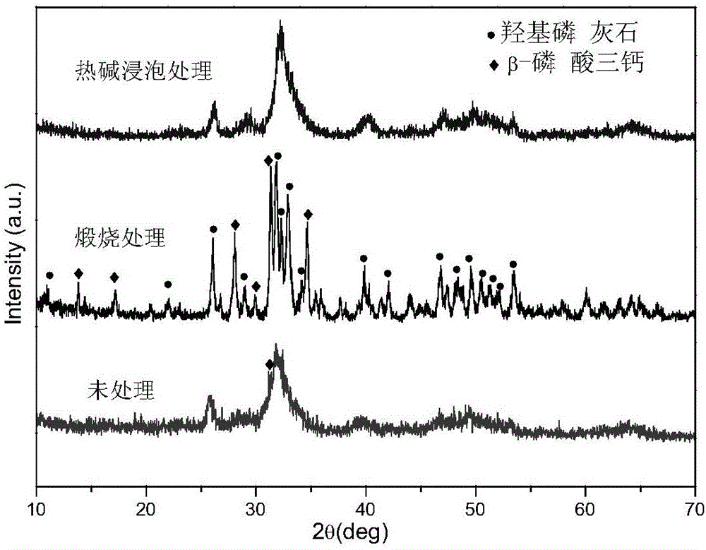 Composite material containing natural nano-hydroxyapatite and preparation method of composite material