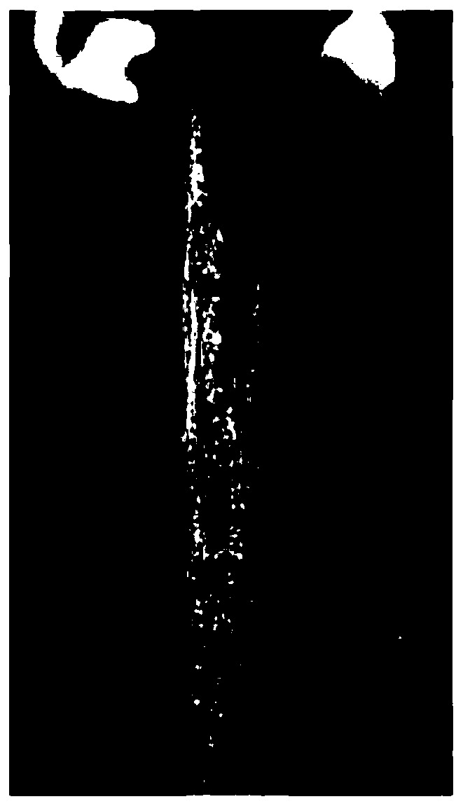 Tree branch sterilization coating agent as well as preparation method and application thereof