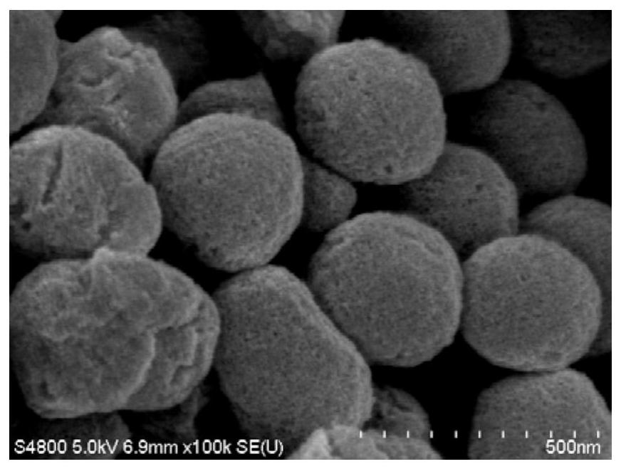 Preparation method and application of magnetic mesoporous titanium dioxide composite material