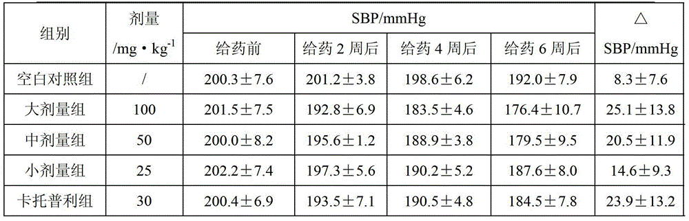 Functional black fungus and kudzuvine root food and preparation method thereof