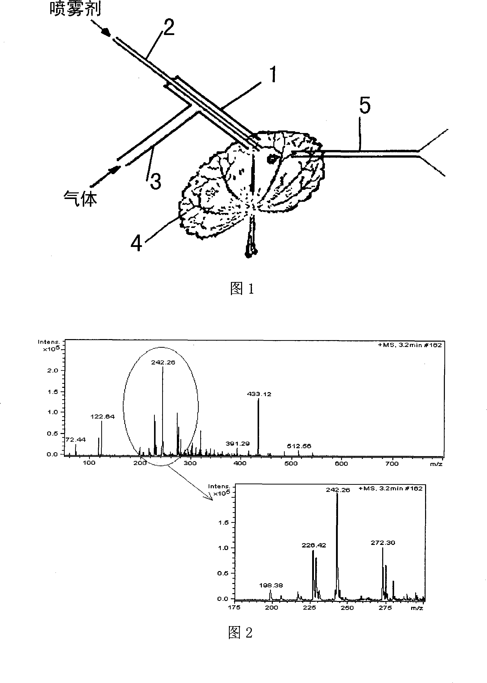 Mass spectra ion source without external high pressure and ionization analytical method thereof