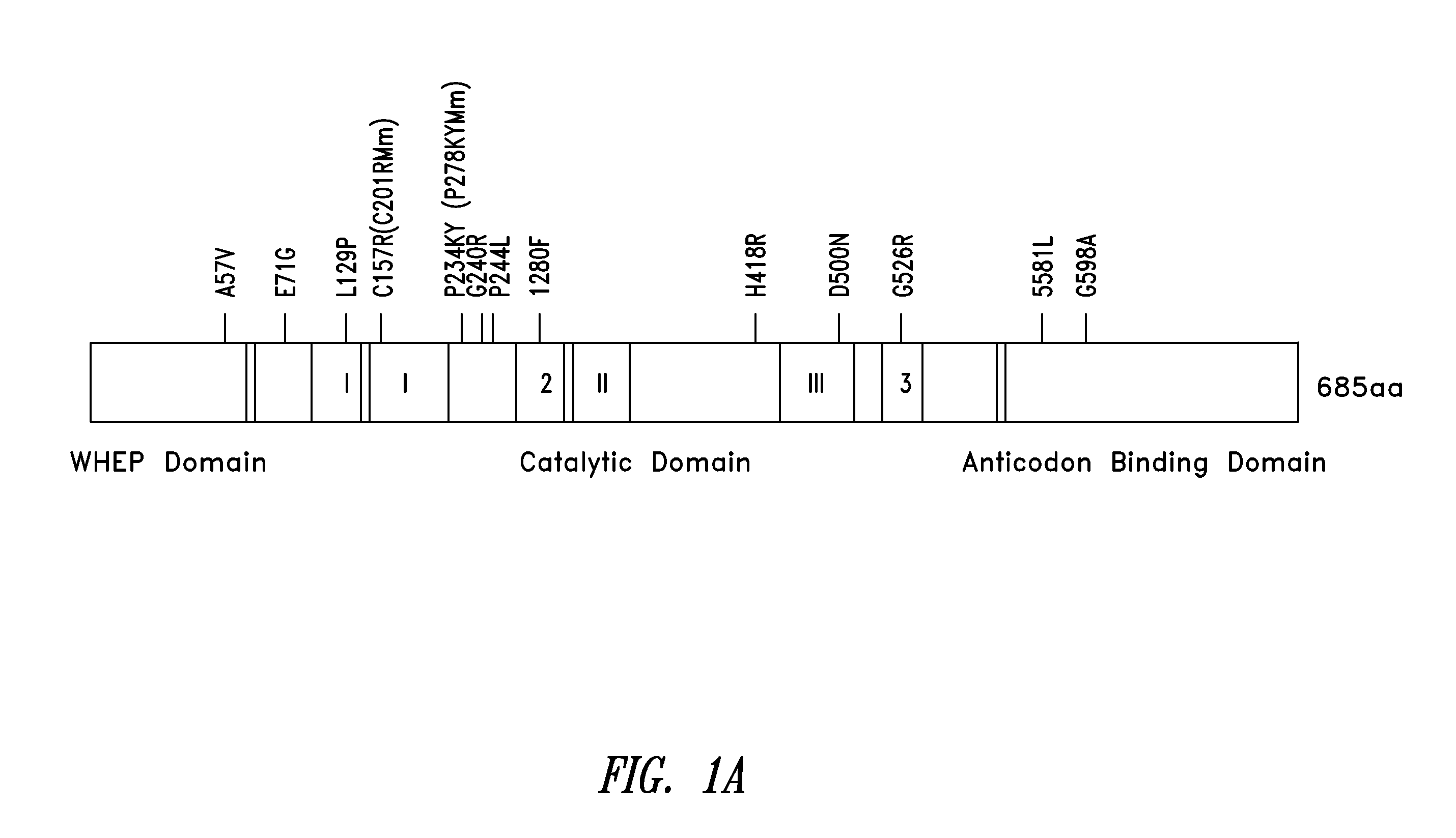 Compositions and methods for treating charcot-marie-tooth diseases and related neuronal diseases