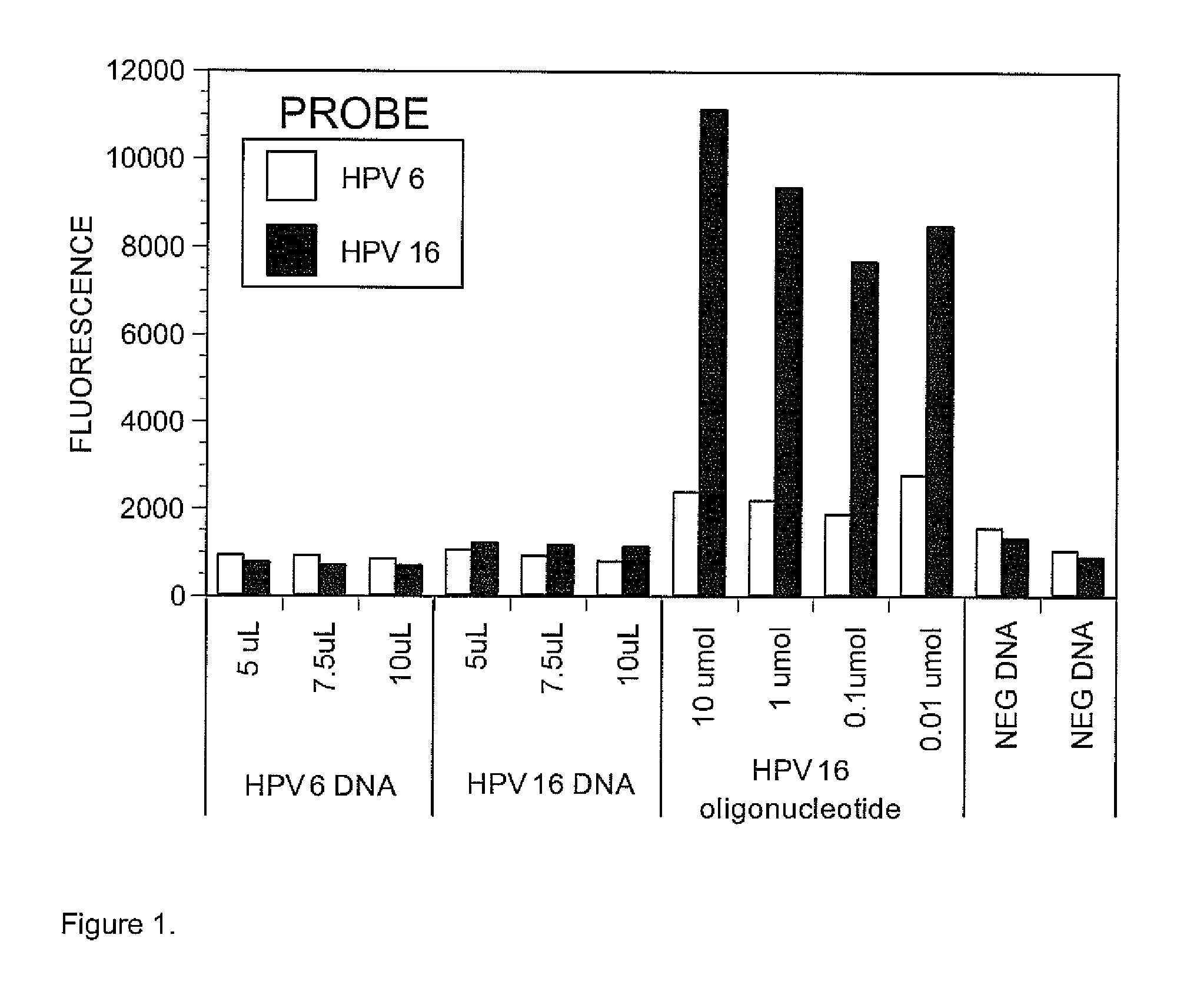 Set of probes for the detection and typing of 46 human papillomavirus mucosal types