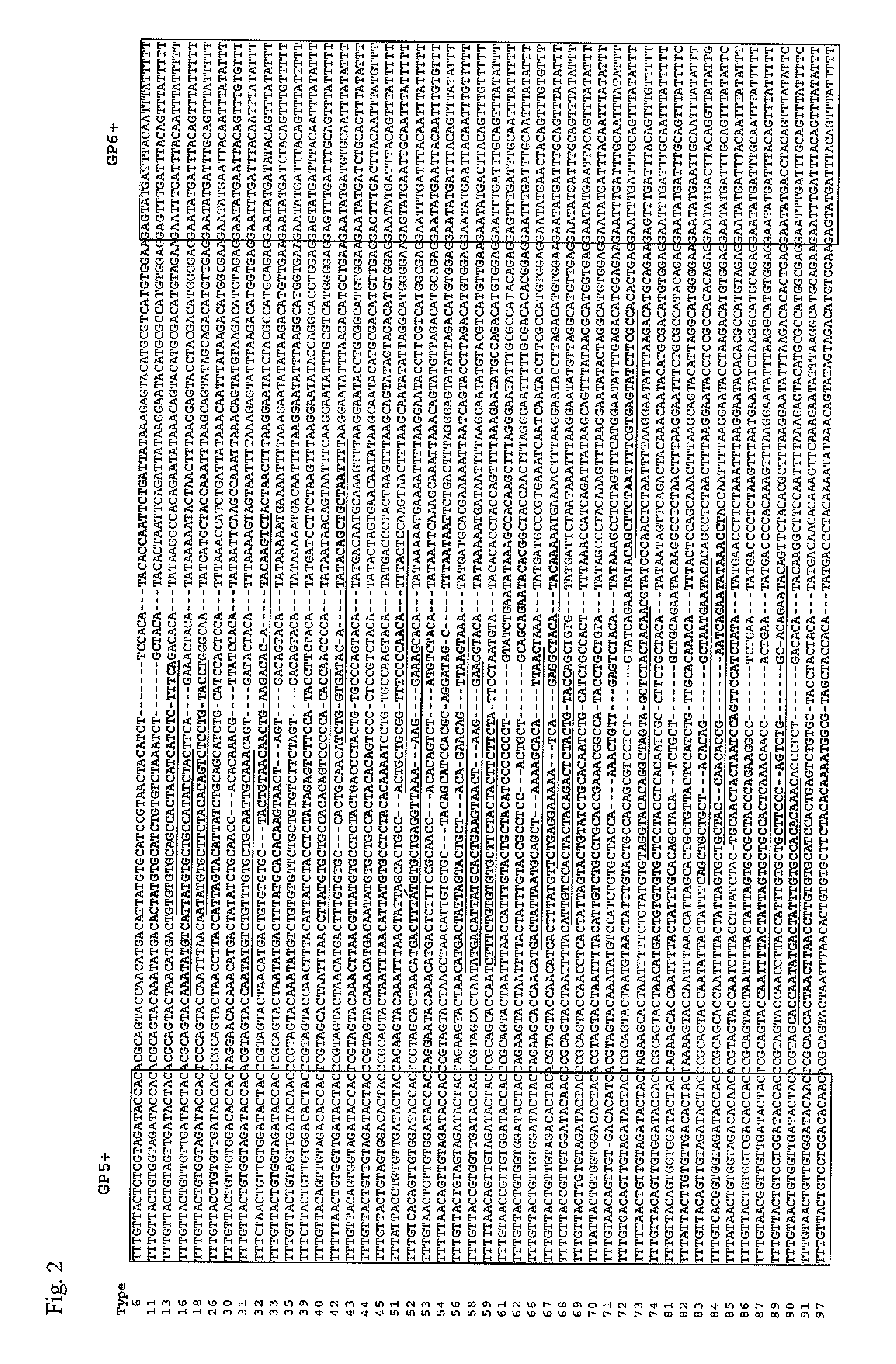 Set of probes for the detection and typing of 46 human papillomavirus mucosal types