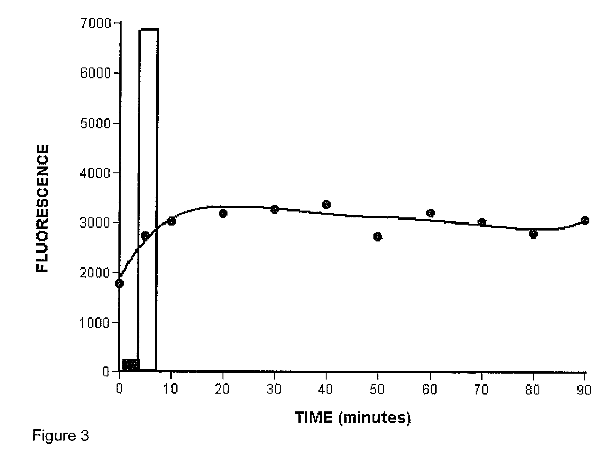 Set of probes for the detection and typing of 46 human papillomavirus mucosal types