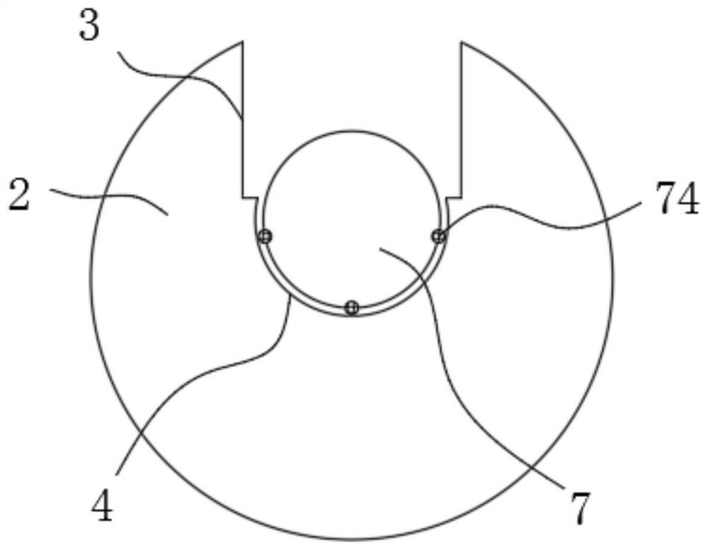 Lease rod penetrating device for sizing machine