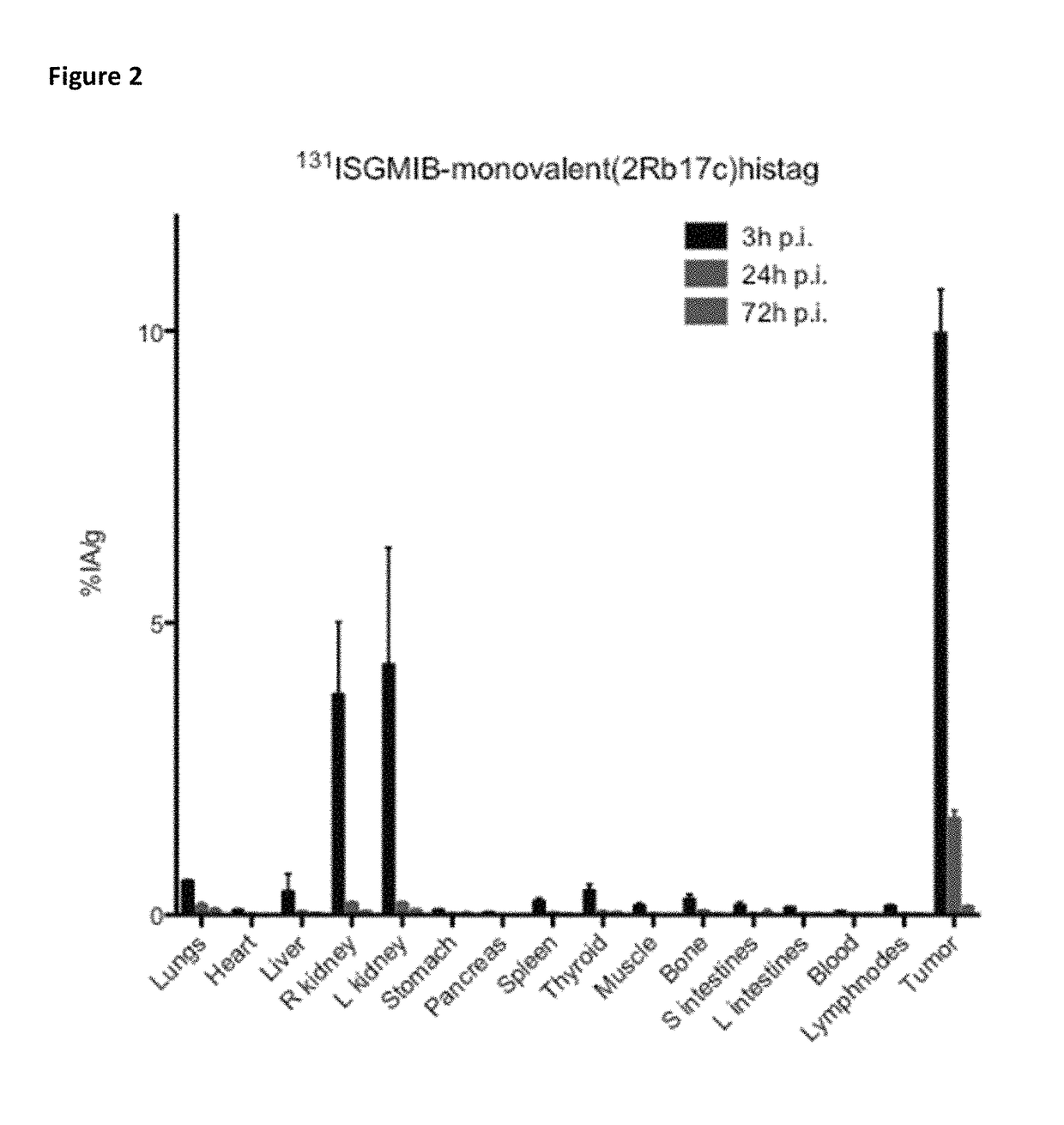 Radio-labelled antibody fragments for use in the prevention and/or treatment of cancer