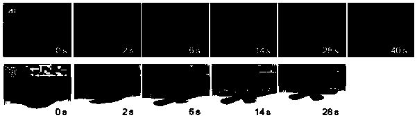 Heat-conducting graphene-polymer composite thin film and preparation method and application thereof