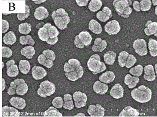 Hollow gold nano particle sensing membrane and preparation method thereof