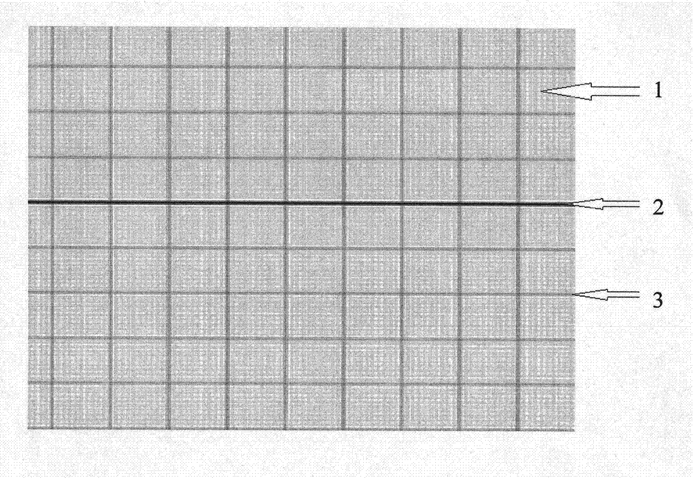 Grid-shaped bracket composite membrane of pelvic floor repairing belt and use method thereof