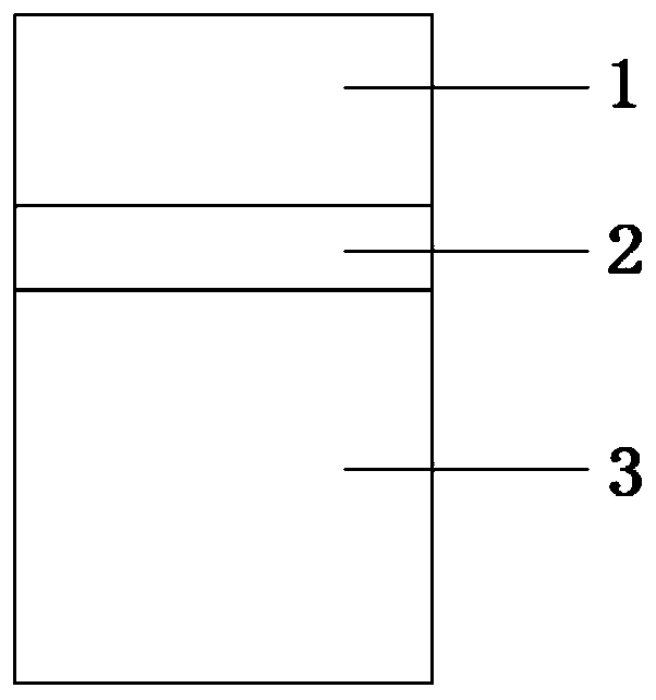 Sargassum thunbergii proliferation reef system and application method thereof