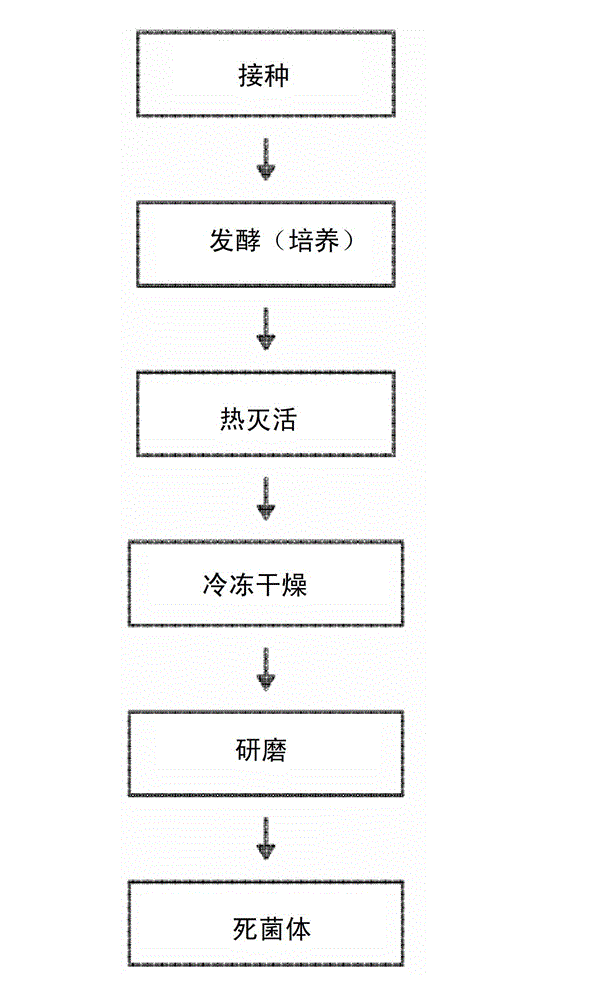 Dead lactobacillus biomass for antimicrobial use and a production method therefor