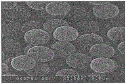 Preparing method for ion exchange resin, negative ion chromatographic column prepared from ion exchange resin prepared through method and application of negative ion chromatographic column