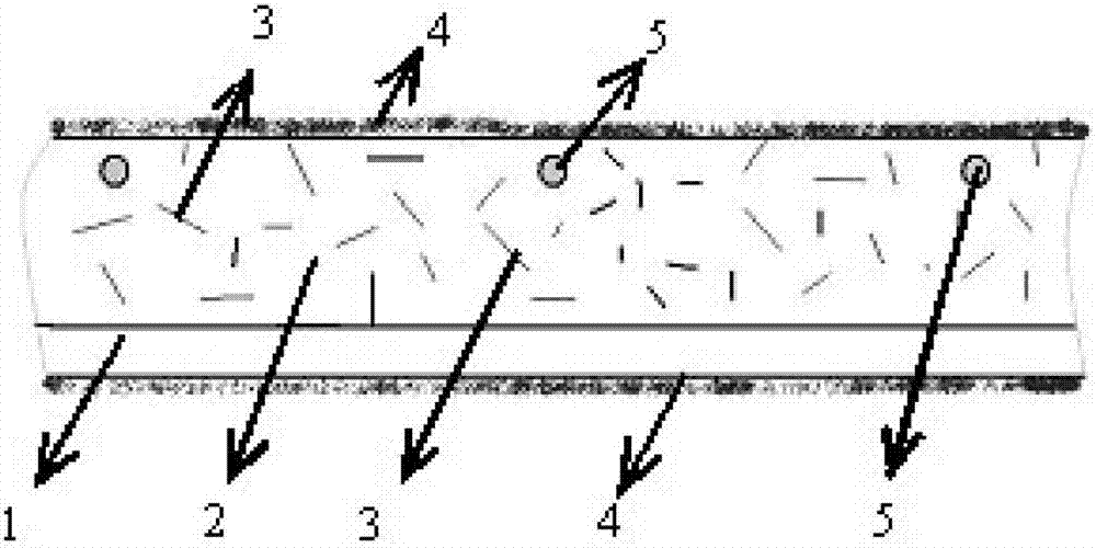 Fiber-reinforced perfluorinated ion exchange membrane containing non-continuous nano-pore canal and preparation method thereof