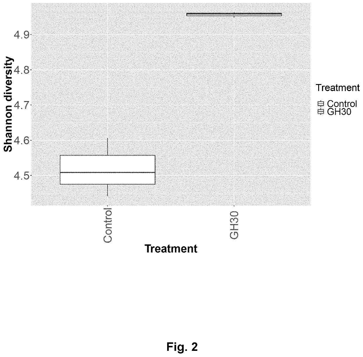 Fibrous maize-based animal feed with gh30 glucuronoxylan hydrolase