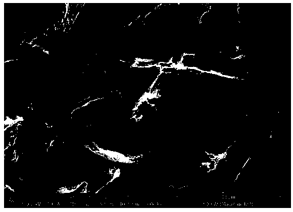 Method for preparing graphene based non-metallic oxygen reduction catalyst