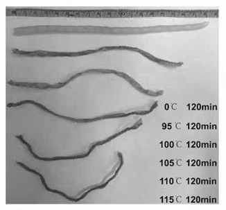 Sturgeon keel chewable tablet and preparation method thereof