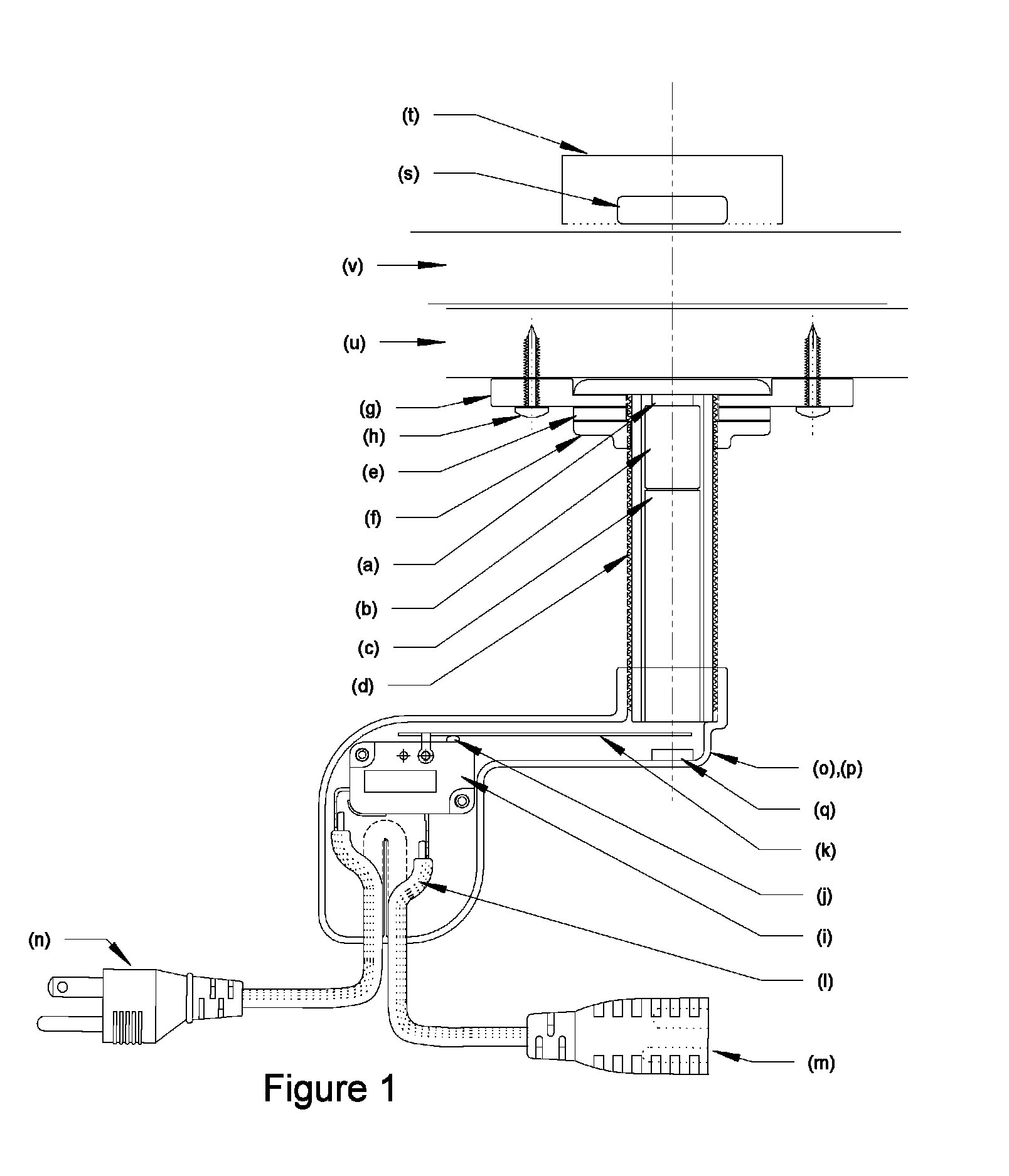 Magnetically operated electrical switch