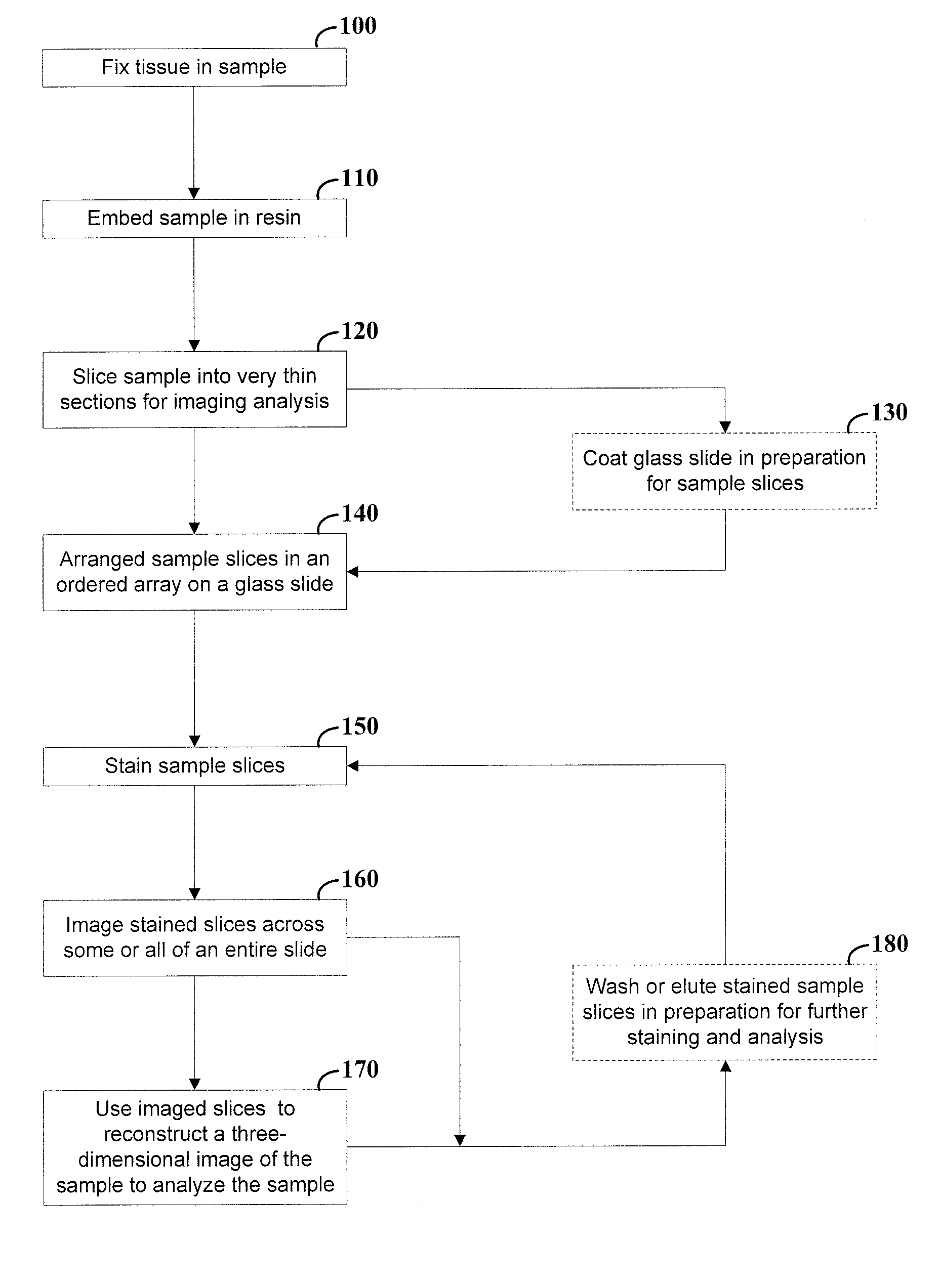 Arrangement and imaging of biological samples